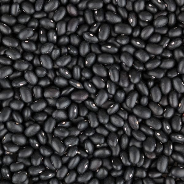 Fagioli Neri Secchi BIO sfusi