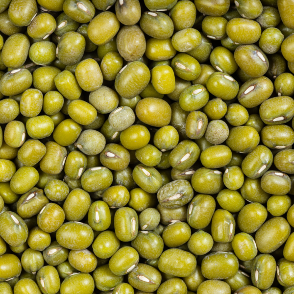 Fagioli Azuki Verdi BIO sfusi