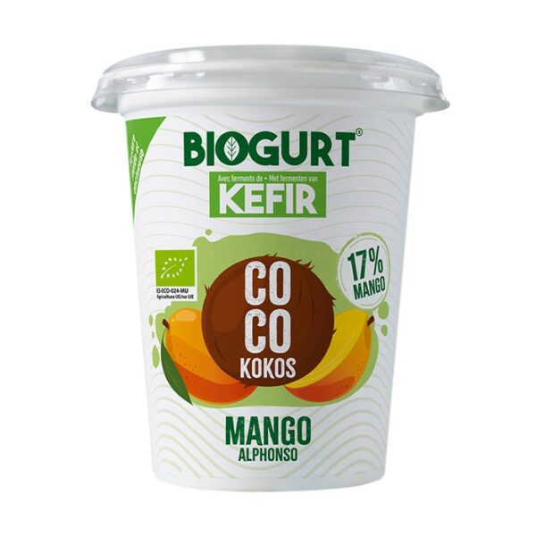 Kefir Vegano al Cocco e Mango BIO - 400 g